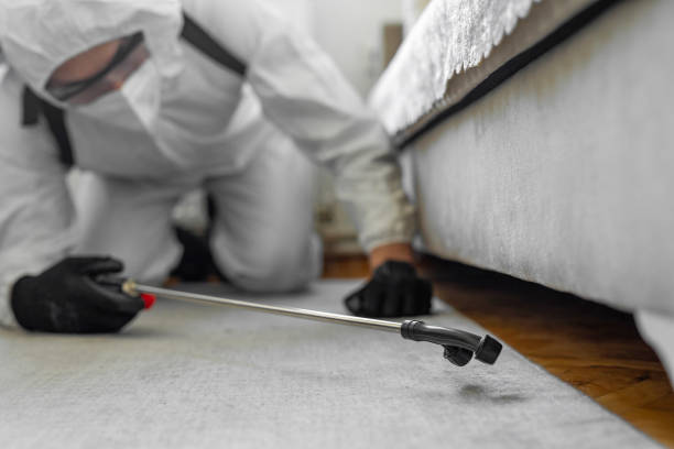 Professional Termite Control technician working in Archie, MO