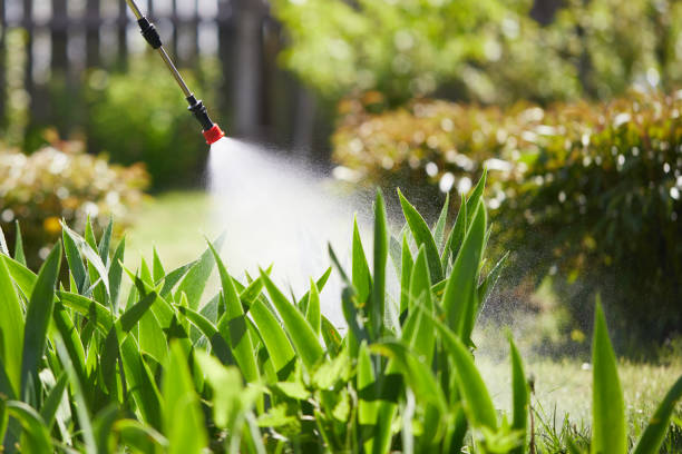 24/7 Emergency Termite Control experts in Archie, MO