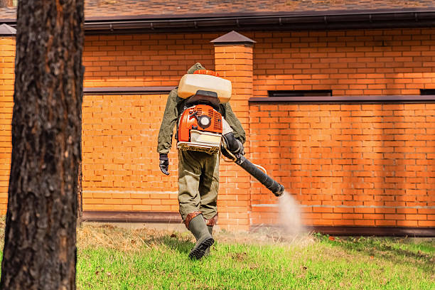 Top rated local Termite Control specialists in Archie, MO